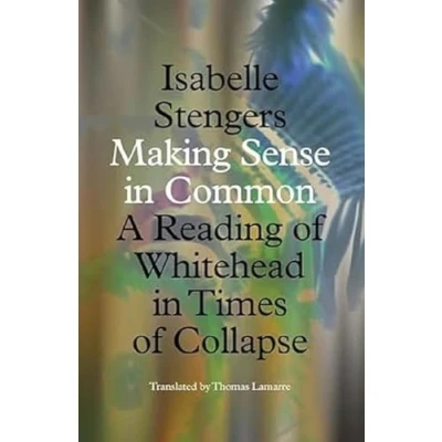 Bild av Making Sense in Common: A Reading of Whitehead Times Collapse