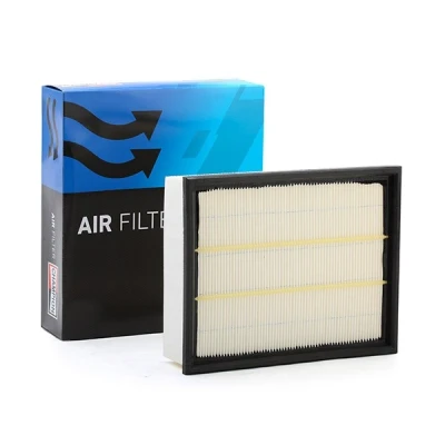 Bild av CHAMPION CAF100814P Filtre à air 68 212 266 Cartouche filtrante AUDI: A4 B6 Avant, B7 Berline, SEAT: Exeo ST