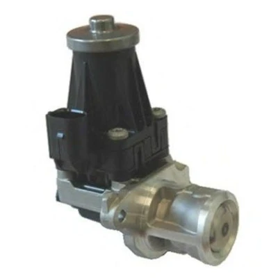 Bild av Egr Ventil Magneti marelli 571822112072