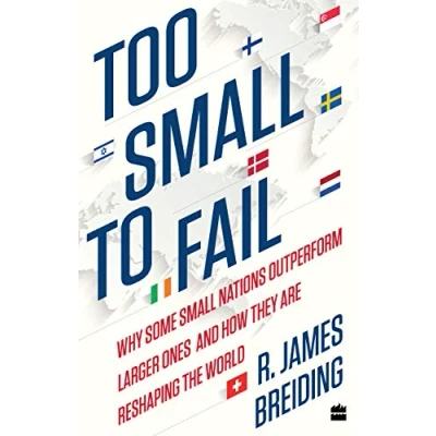 Bild av Too Small to Fail: Why Some Nations Outperform Larger Ones and How They Are Reshaping the World