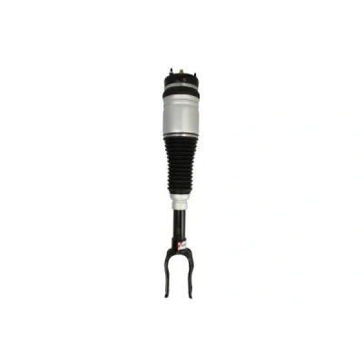 Bild av Luftfjäderben Magnum technology APY002MT