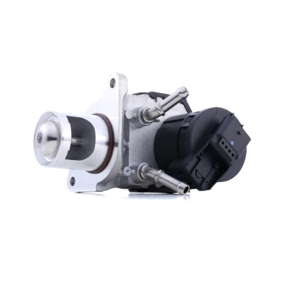 Bild av Egr Ventil Wahler 710327D/1