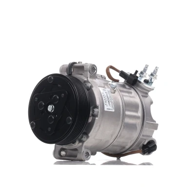 Bild av DELPHI CS20552 Compresseur De Climatisation PXC16 PAG 46 LAND ROVER: Range Rover Sport, Discovery 4