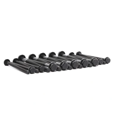 Bild av Bultsats, topplock, citroën,fiat,ford,land rover,peugeot, 0204.A9, 0204.C0, 1102676, 1372302, 9659135580(x10), 9659281480(x8), U202 10 1