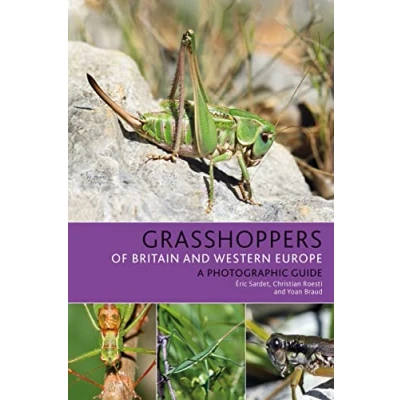 Bild av Grasshoppers of Britain and Western Europe: A Photographic Guide