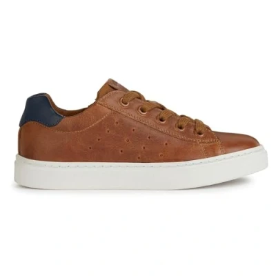 Bild av Geox Pojkar J Nashik Boy A sneakers, Cognac Navy, 30 EU