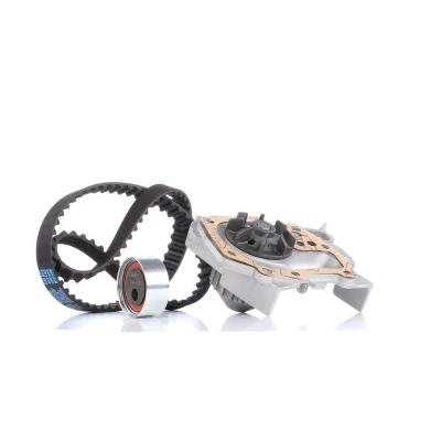 Bild av DOLZ KD001 Pompe à Eau + Kit De Distribution 95 RENAULT: CLIO 1, Rapid, 19 I 3/5 portes