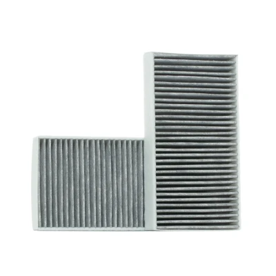 Bild av VALEO CLIMFILTER PROTECT 715544 Filtre d&#039;habitacle à charbon actif 254 134 40 MERCEDES BENZ: Classe ML, R, GL