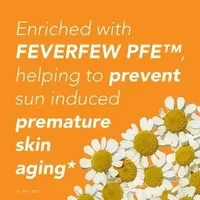 Bild av Piz Buin Moisturising Sun Lotion SPF 15