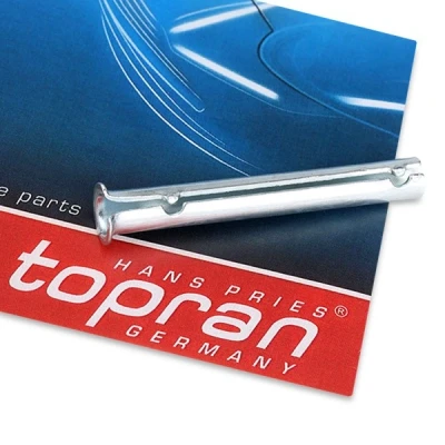 Bild av TOPRAN 206 055 Charnière de porte OPEL: Astra H 3/5 portes, Corsa B portes