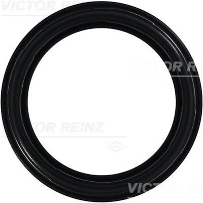 Bild av REINZ 71 35659 00 Joint De Cache Culbuteurs FIAT: Punto II 3/5 portes, Stilo Coupe, LANCIA: DELTA 2, Dedra Berline, Kappa Berline