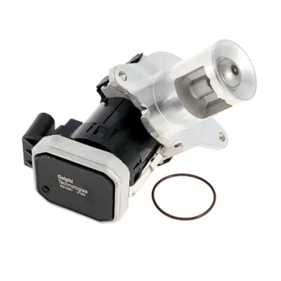 Bild av DELPHI EG10621 12B1 Vanne EGR sans radiateur