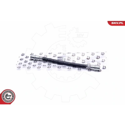 Bild av Bromsslang, Bakaxel, Inre, Tvåsidig, audi 80 b4 avant, sedan, a2, 8A0611775, 8Z0611775A, 8Z0611775B