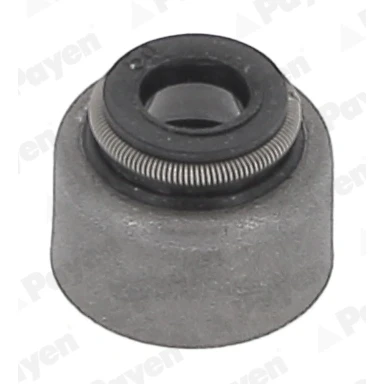 Bild av PAYEN HR5150 Jeu de joints d&#039;étanchéité, tige soupape FPM (caoutchouc fluoré) TOYOTA: MR2 III Cabriolet, RAV4 SUV, Corolla Verso, LEXUS: RX II