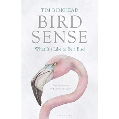 Bild av Bird Sense: What It&#039;s Like to Be a