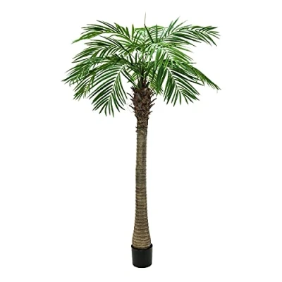 Bild av Europalms 82510721 Phoenix Palm Tree Luxor, 210 cm