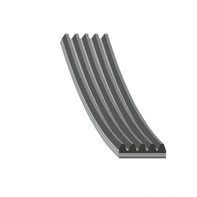 Bild av FEBI BILSTEIN 176318 Courroie Poly V 491 5 EPDM (éthylène propylène diène caoutchouc) VOLKSWAGEN: Scirocco III, Touran I, Golf 5, AUDI: A1 3/5 portes