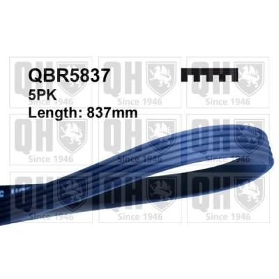 Bild av QUINTON HAZELL QBR5837 Courroie Poly V 837 5 BMW: 3 Berline, Touring, SUZUKI: SX4 I portes, SWIFT 3, Grand Vitara 2 SUV, FIAT: Sedici