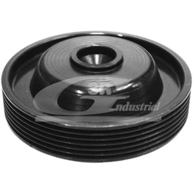 Bild av 3RG 10618 Poulie Damper 6PK 122 RENAULT: LAGUNA 1, CLIO R21 5 portes