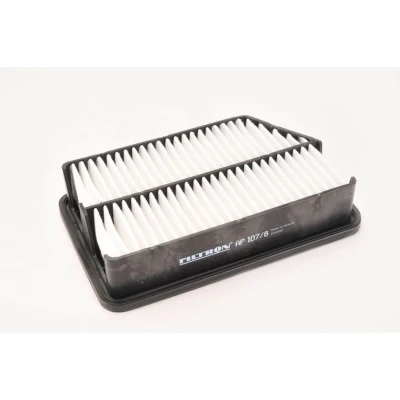 Bild av Luftfilter FILTRON AP 107/8