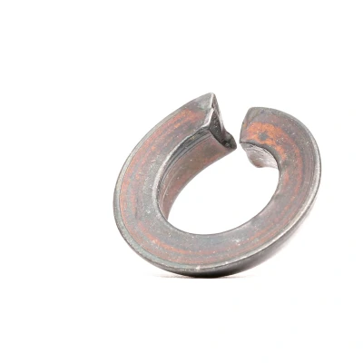 Bild av Fästring, fälg Febi bilstein 01241