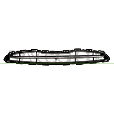 Bild av PRASCO Premium DS0142011 Calandre chrome
