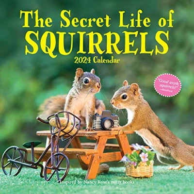 Bild av Secret Life of Squirrels Wall Calendar 2024: A Year Wild