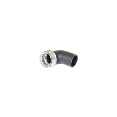 Bild av BUGIAD 82666 Gaine De Suralimentation 56 AEM (caoutchouc d&#039;éthylène acrylate) avec collier AUDI: A4 B7 Avant, Berline, B6 Berline