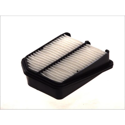 Bild av Luftfilter Filtron AP 173/2