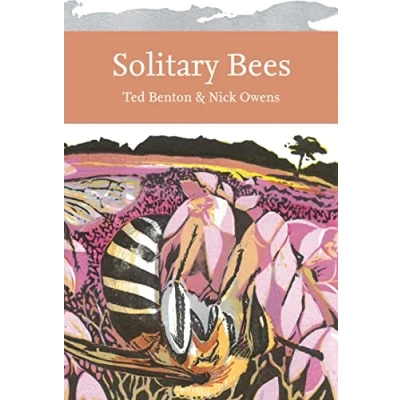 Bild av solitary Bees: An in depth exploration of the diverse world bees
