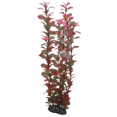 Bild av Dohse Ludwigia 34 cm