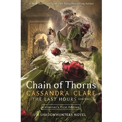 Bild av The Last Hours 3: Chain of Thorns