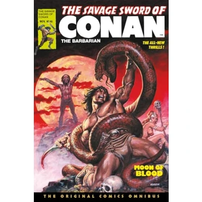 Bild av The Savage Sword of Conan: Original Comics Omnibus Vol.4