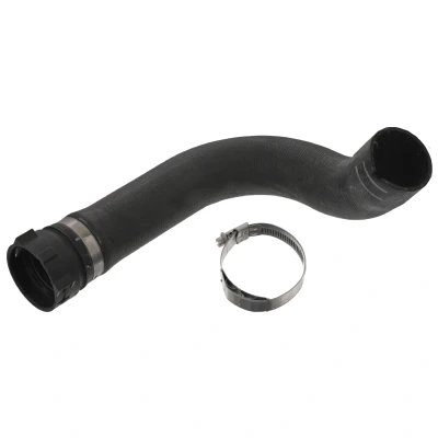 Bild av febi BILSTEIN 49131 Durite De Refroidissement 58 EPDM (éthylène propylène diène caoutchouc) avec colliers Plus