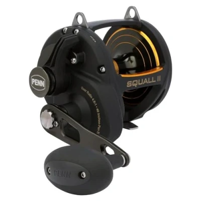 Bild av Penn Squall II Lever Drag multirulle 60