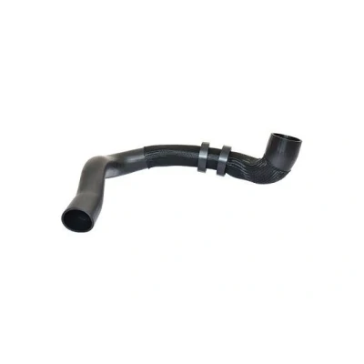 Bild av BUGIAD 88807 Gaine De Suralimentation avec colliers LAND ROVER: Range Rover Evoque
