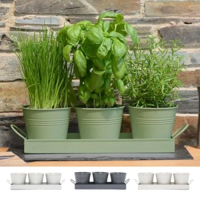 Bild av CKB LTD Uppsättning av 3 växtkrukor i metall med droppbricka traditionell inomhus fönsterbräda färgad planteringslåda för köket odla dina egna örter matlagning (salvia grön)