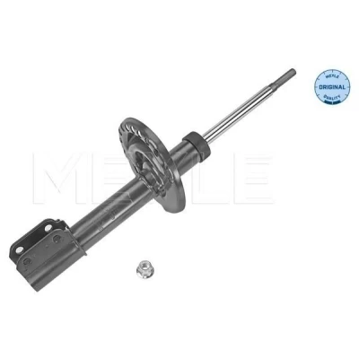 Bild av Stötdämpare, Framaxel, dacia logan ii, mcv sandero renault logan/stepway sandero/stepway thalia iii, 543020322R, 5