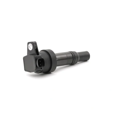 Bild av BERU ZS476 Bobine d&#039;allumage 12 Spring KIA: Picanto II, HYUNDAI: i10 I, II 3/5 portes