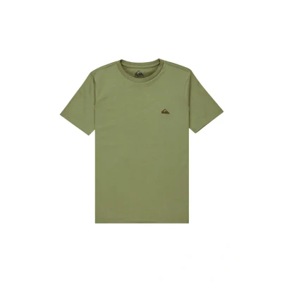Bild av Quiksilver Basic SS kortärmad T shirt pojke 816 år blå 8