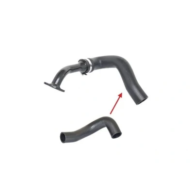 Bild av BUGIAD 88567 Gaine De Suralimentation 40 FIAT: Fiorino III Van / Break, Qubo