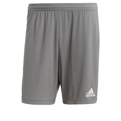 Bild av adidas För Män Entrada 22 Shorts, Team Grey Four, S Tall