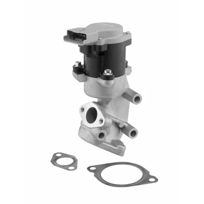 Bild av Egr Ventil Wahler 710984D