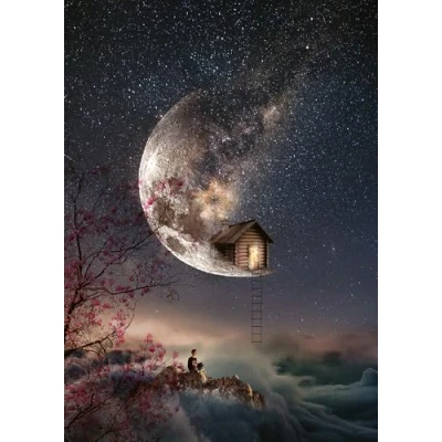 Bild av Schmidt, Natache Einat: Whispers of Dreams Puzzle 1000pc, Puzzle, Ages 12+, 1 Players