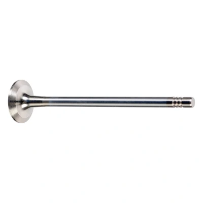 Bild av FEBI BILSTEIN 176537 Soupape d&#039;Échappement 24 RENAULT: Megane 4, Clio Captur