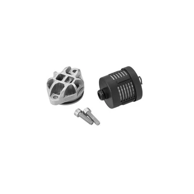 Bild av Hydraulikfilter, lamellkoppling (allhjulsdrift)) BORGWARNER DS120356