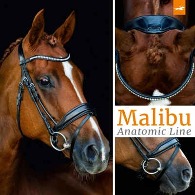 Bild av Schockemöhle Bridle malibu