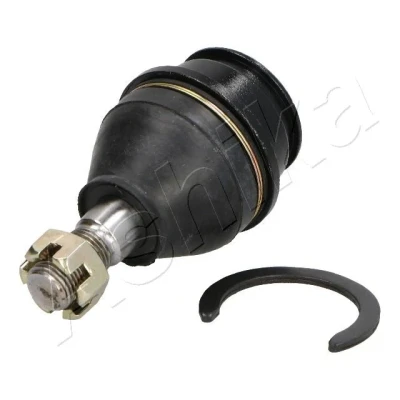 Bild av ASHIKA 73 02 255 Rotule de suspension des deux côtés l&#039;essieu avant, inférieur 47 17,6 107 TOYOTA: Land Cruiser Prado 120, 100