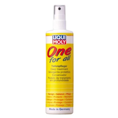 Bild av LIQUI MOLY 1650 Produit d&#039;entretien pour plastiques 250 Bouteille pompe d’arrosage, aérosol