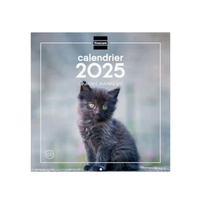 Bild av Finocam Väggkalender 30 x för att skriva 2025 1 månad per sida januari december (12 månader) franska kattungar